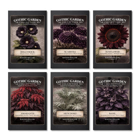 Ravens Hollow Garden Gothic Seed Collection pack for moody color coordination in beds