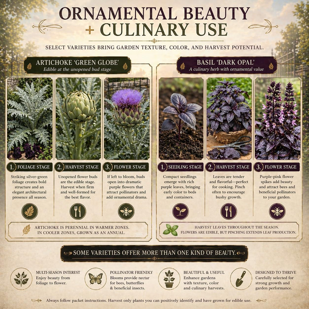 Layered garden bed design inspired by Ravens Hollow Gothic Seed Collection