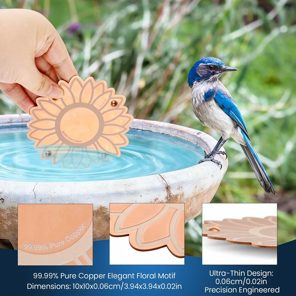Ravionell outdoor bird bowl with purification disk supports clean water