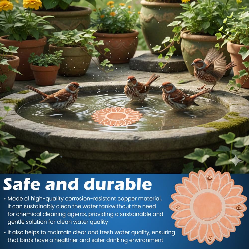 Ravionell all-season bird bath remains clear with minimal maintenance