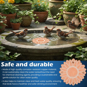 Ravionell all-season bird bath remains clear with minimal maintenance