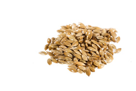 Raw Garden Canary Seed with scoop illustrating convenient measuring and fiber.