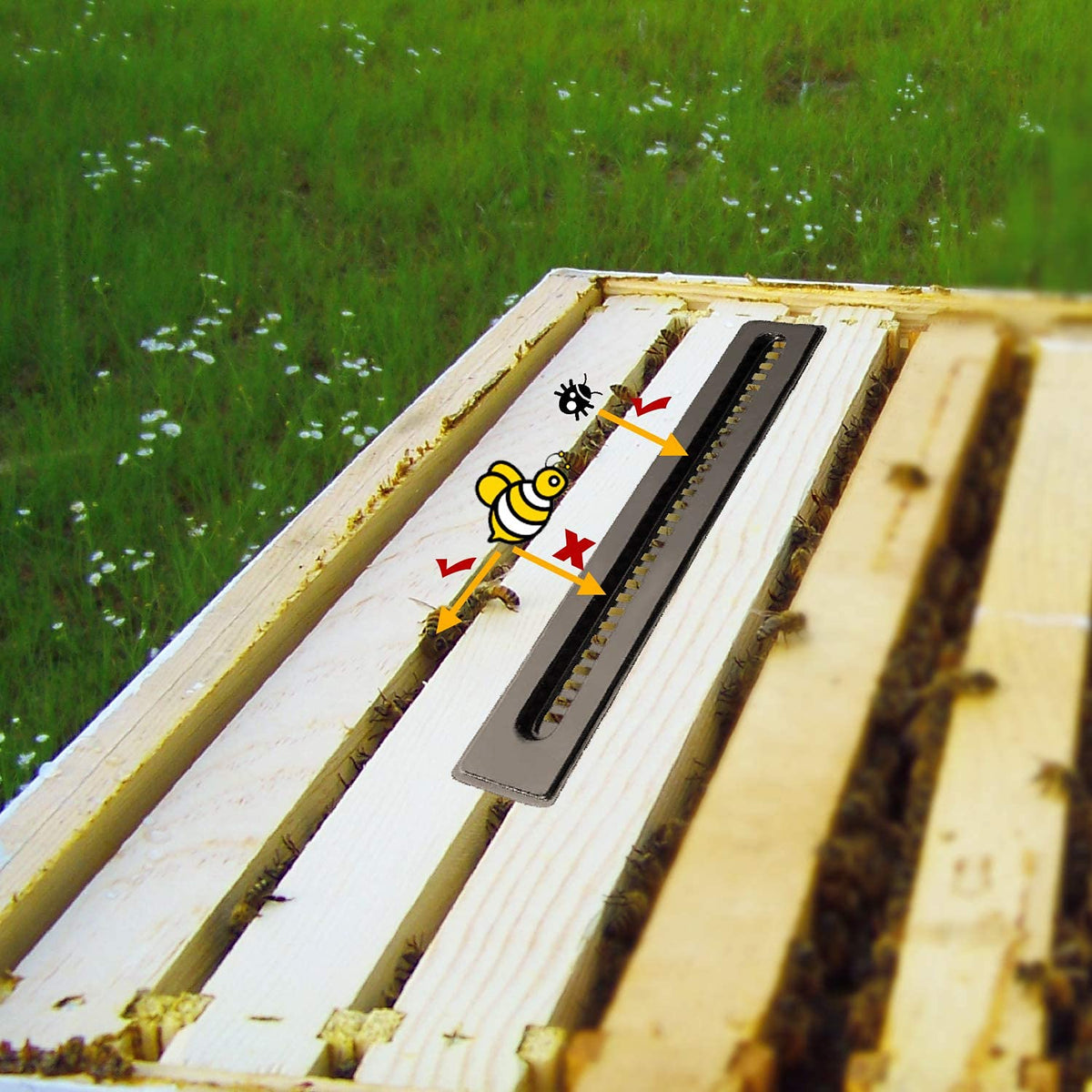 Rayfarmo beehive tools case close-up material showing durable plastic.