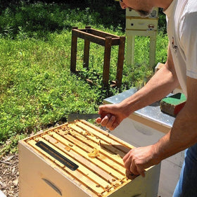 Rayfarmo beekeeping tools case dimensions indicate compact, portable kit.