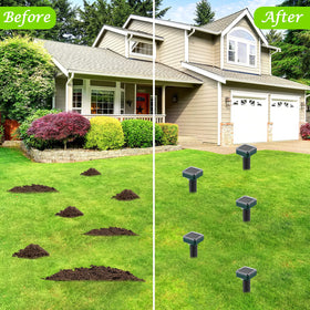 RC Tech Trading Mole Repellent demonstrates broad-area yard coverage