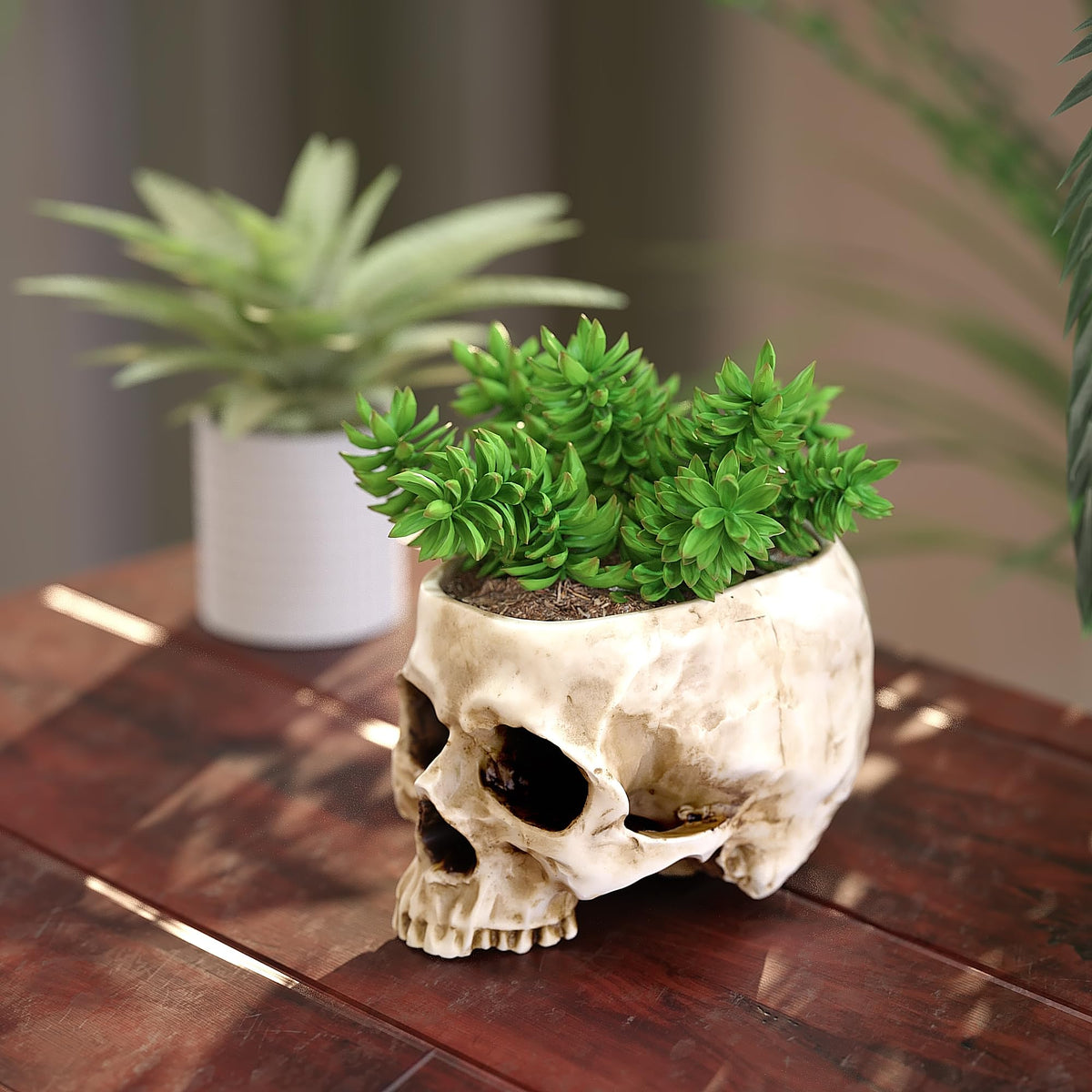 READAEER detailed skull carving enhances shelves or desks with character.