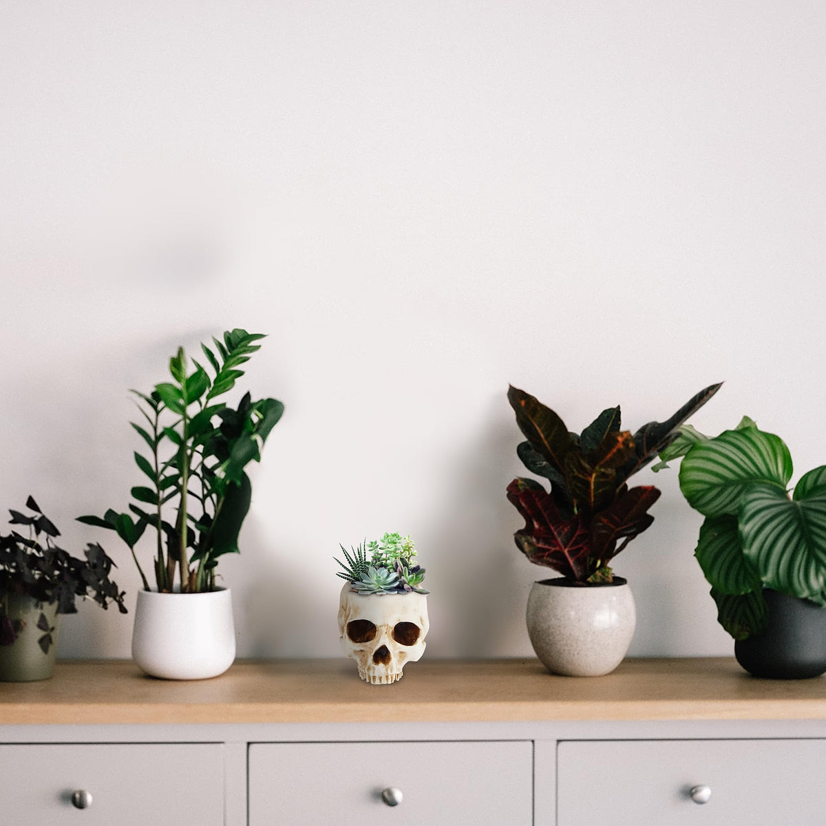 READAEER durable resin skull statue doubles as decorative storage.
