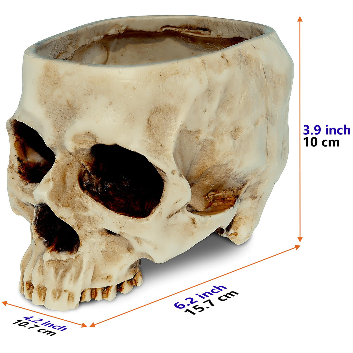 READAEER resin skull flower pot with lifelike details for modern desks.