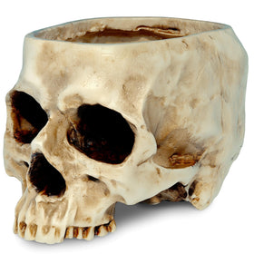 READAEER skull planter with drain hole for succulents and décor.