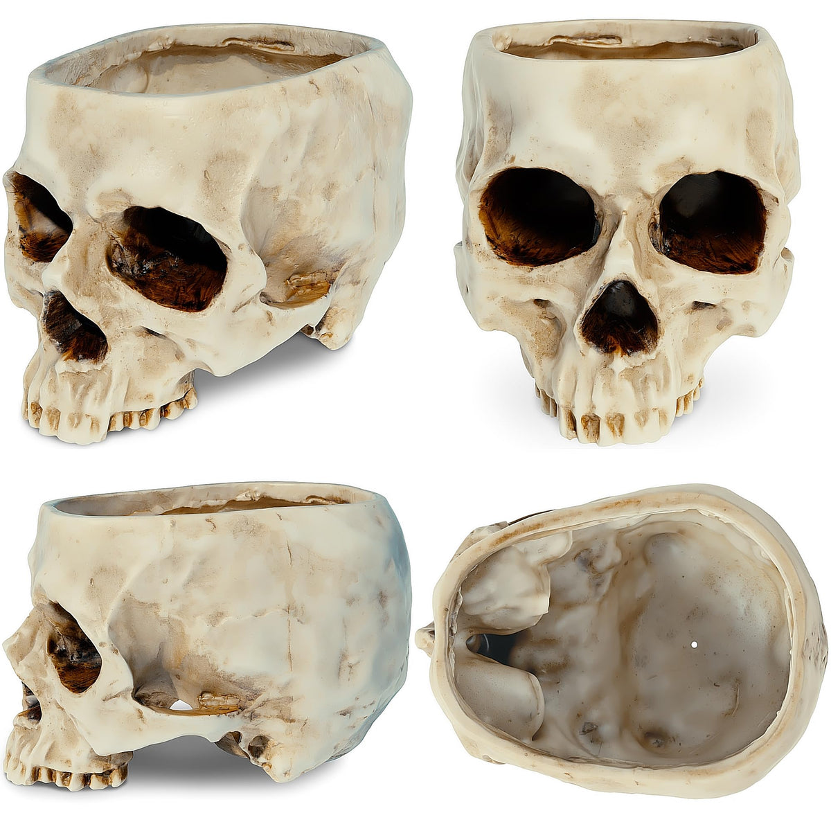 READAEER white skull planter showing fine carving on durable resin.