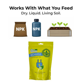 Real Growers Recharge used alongside compost tea to boost microbial activity.