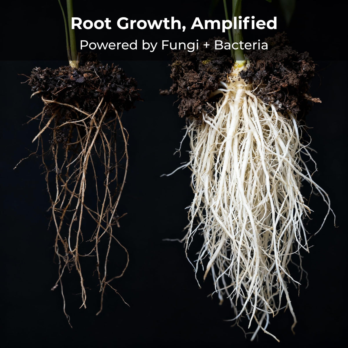 Real Growers Recharge dosing spoon shown beside bottle for precise measurement.