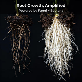 Real Growers Recharge dosing spoon shown beside bottle for precise measurement.