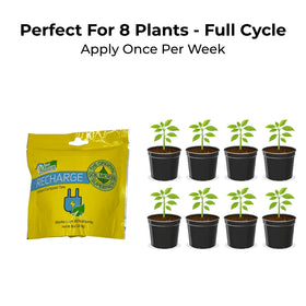 Real Growers Recharge applied to a living soil bed to support root growth.