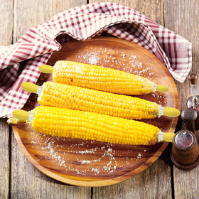RECOIL corn on the cob secured with holders for clean bites