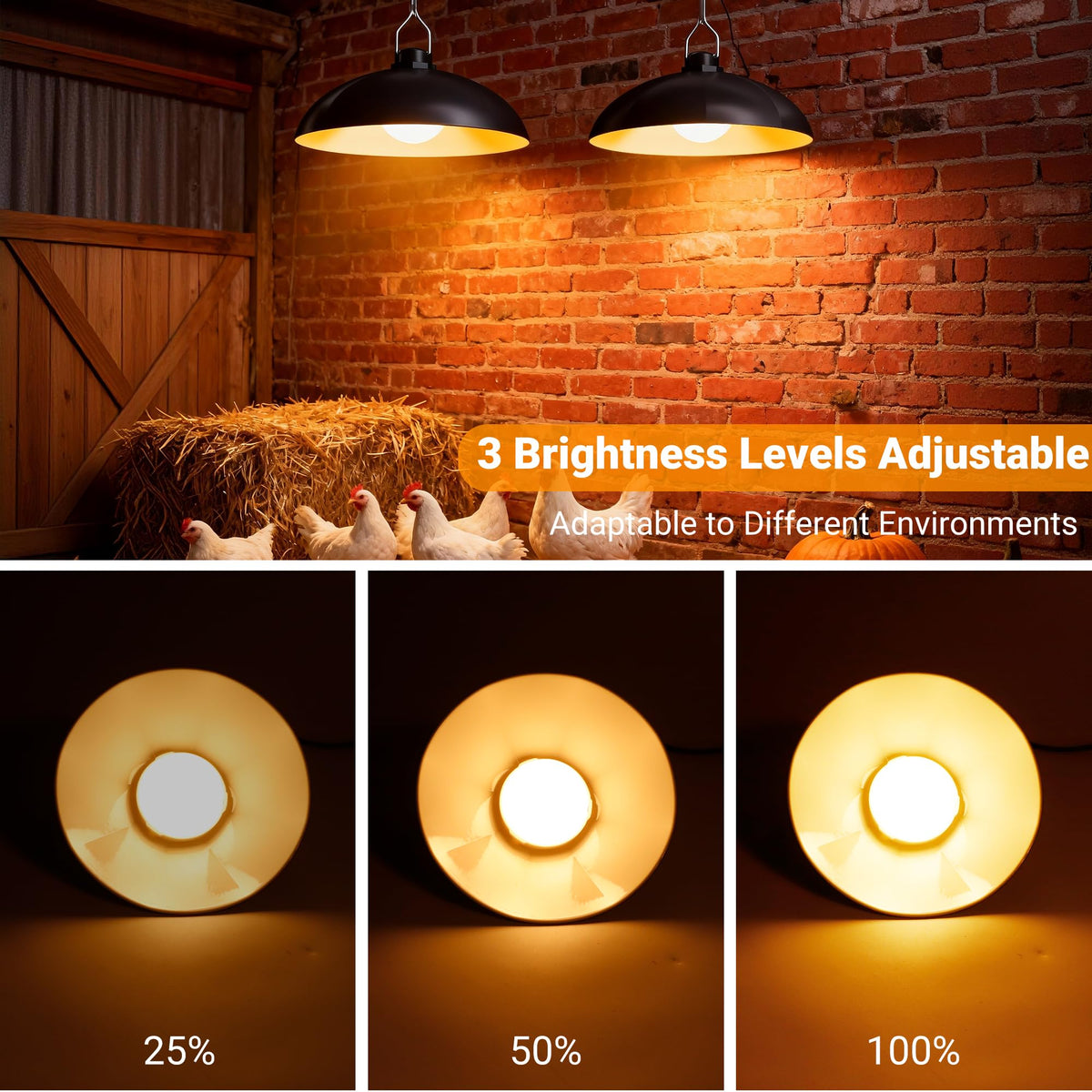 Redaica IP44 waterproof housing protects lights in rain and dust