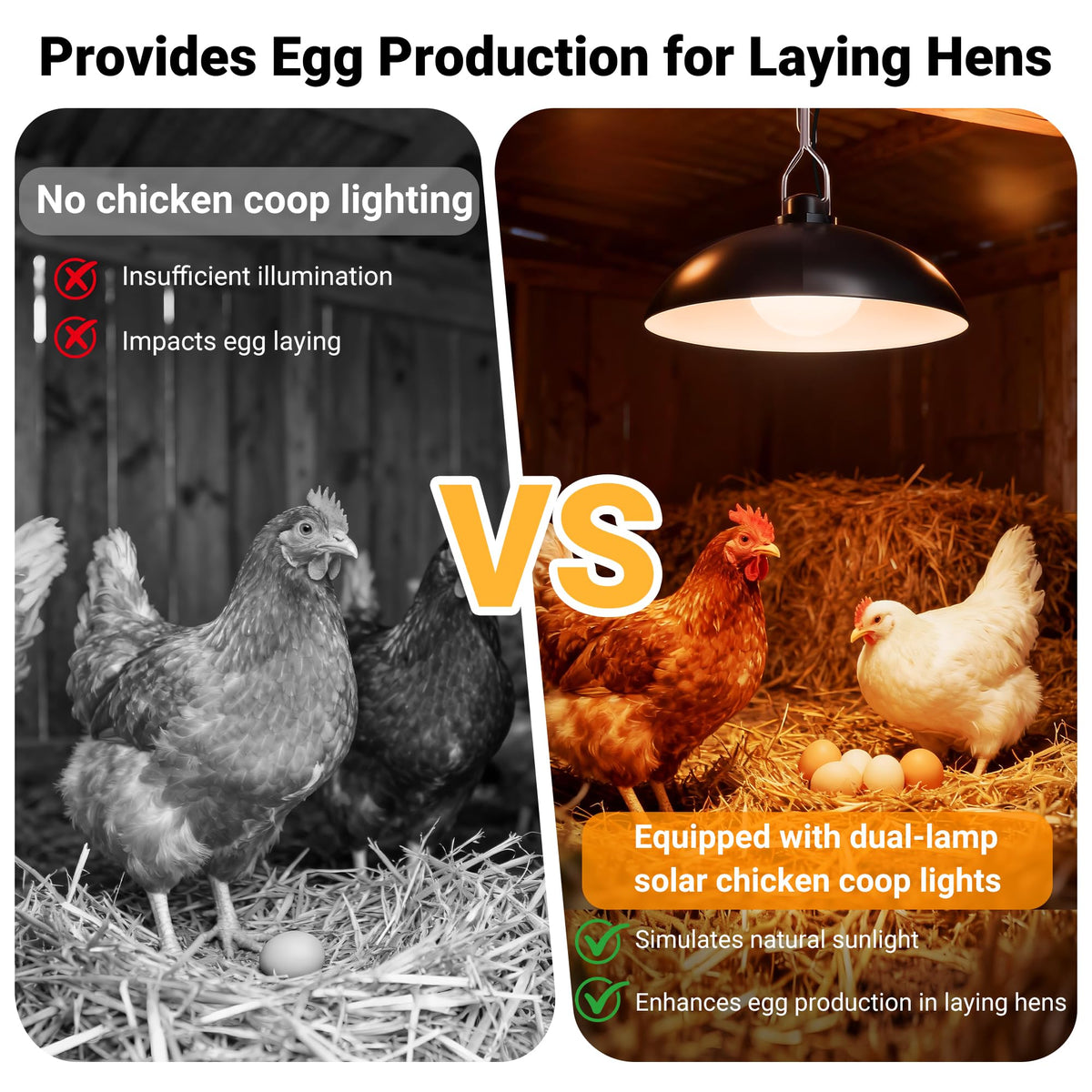 Redaica remote control for chicken coop light enabling easy schedule adjustments from outside