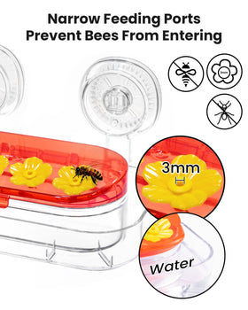 Deluxe gift option Redboat window feeder for bird lovers