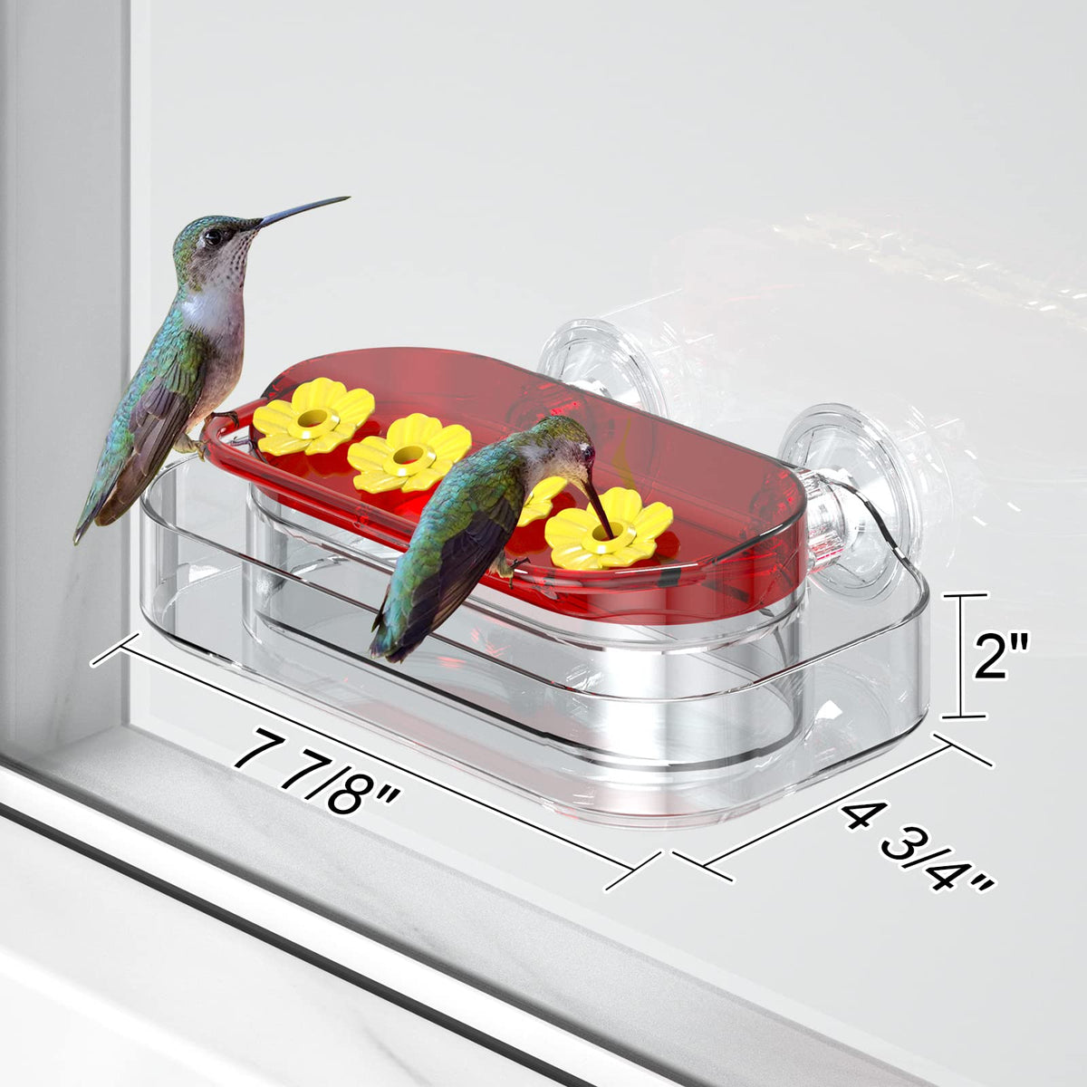 Redboat clear-view feeder allows up-close hummingbird watching from indoors.