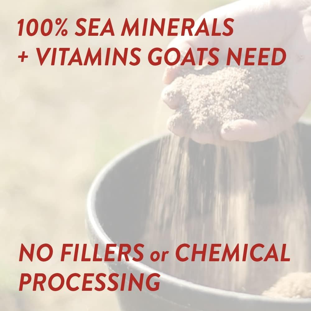 Redmond Goat Mineral Mix goats eating scene highlights instinctive craving for Redmond minerals.