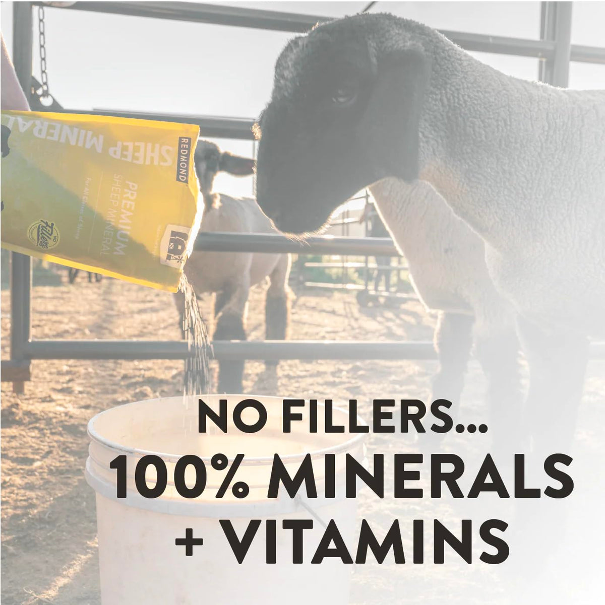 Redmond Sheep Mineral fortified with vitamins A, D, E for balance