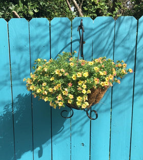 BLACK REDOVANT plant bracket securely mounted to wall for heavy items