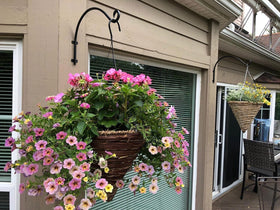 Outdoor indoor REDOVANT plant hanger setup on garden wall