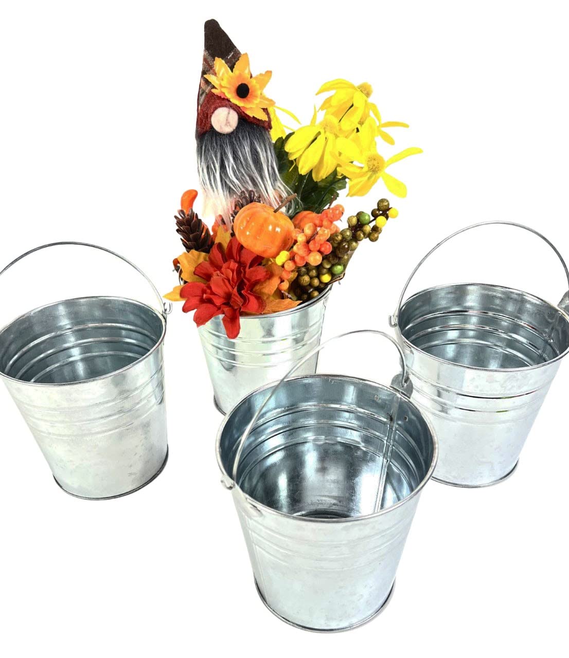 Regent galvanized pails ideal for plant displays and tabletop decor.