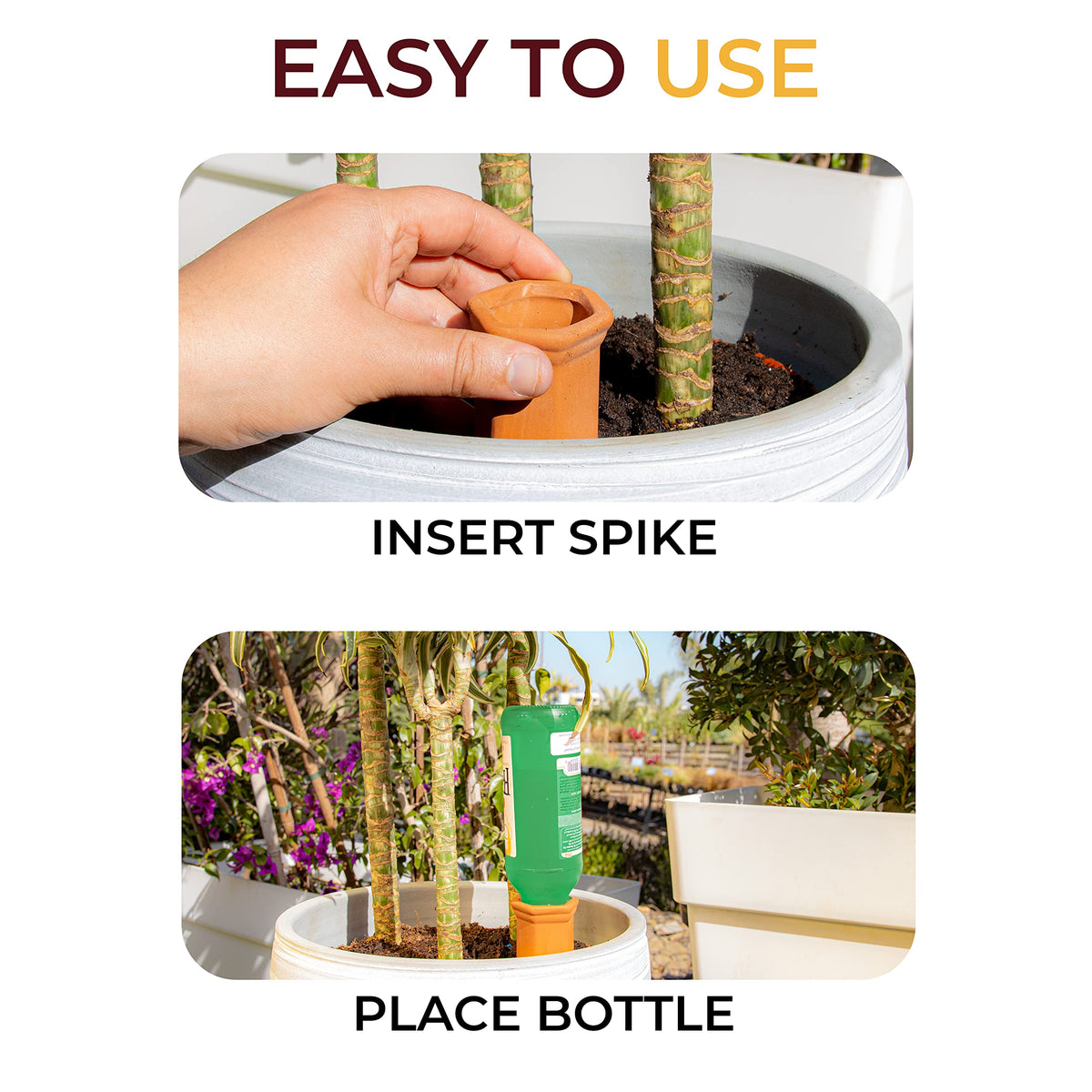 Reifier 6-pack helps all plant types stay hydrated.