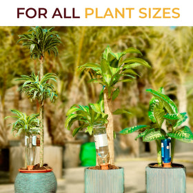 Reifier self-watering system usable indoors and outdoors for plant care.
