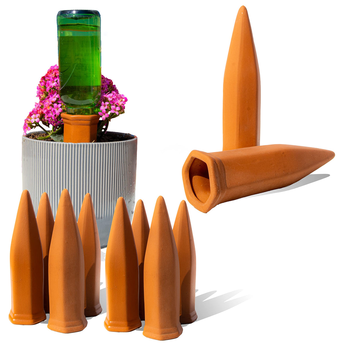 Reifier self-watering spike inserted into soil for steady hydration