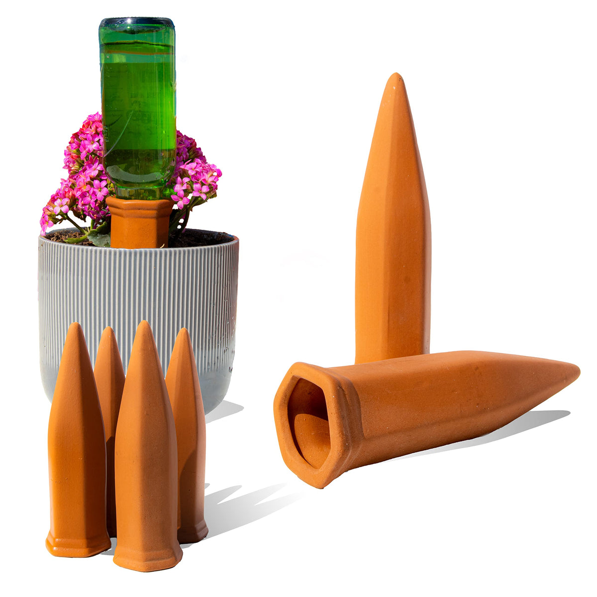 Reifier terracotta self-watering spike inserted in soil for steady hydration.