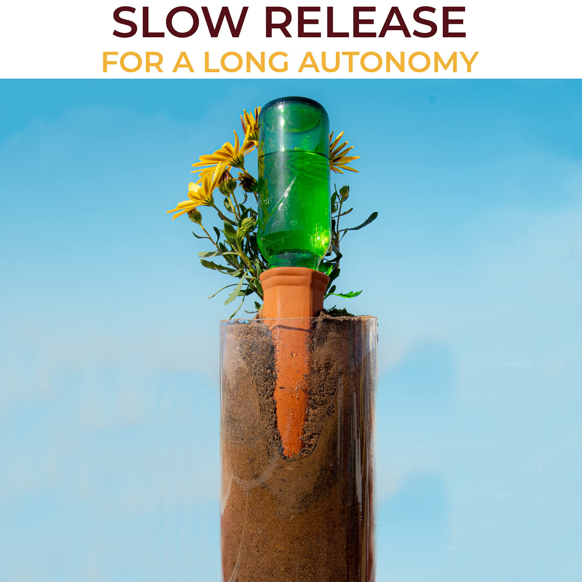 Reifier vacation-friendly spike delivers slow-release moisture during trips.