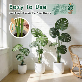 RELBRO gentle-curve stem guide protects stems while allowing growth.