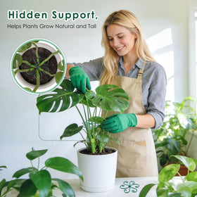RELBRO indoor outdoor plant stabilizer blends with green foliage.