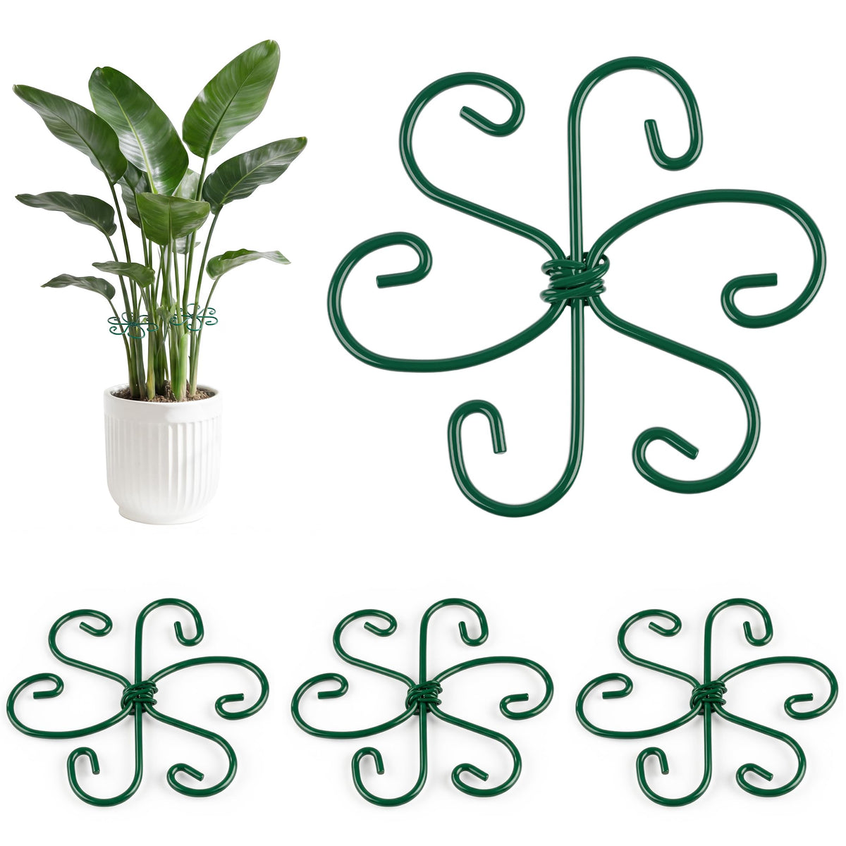 RELBRO Monstera stem support with a 4.3 inch loop aids upright growth.