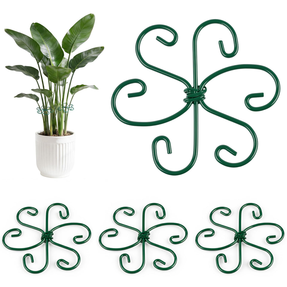 RELBRO Monstera stem support with a 4.3 inch loop aids upright growth.