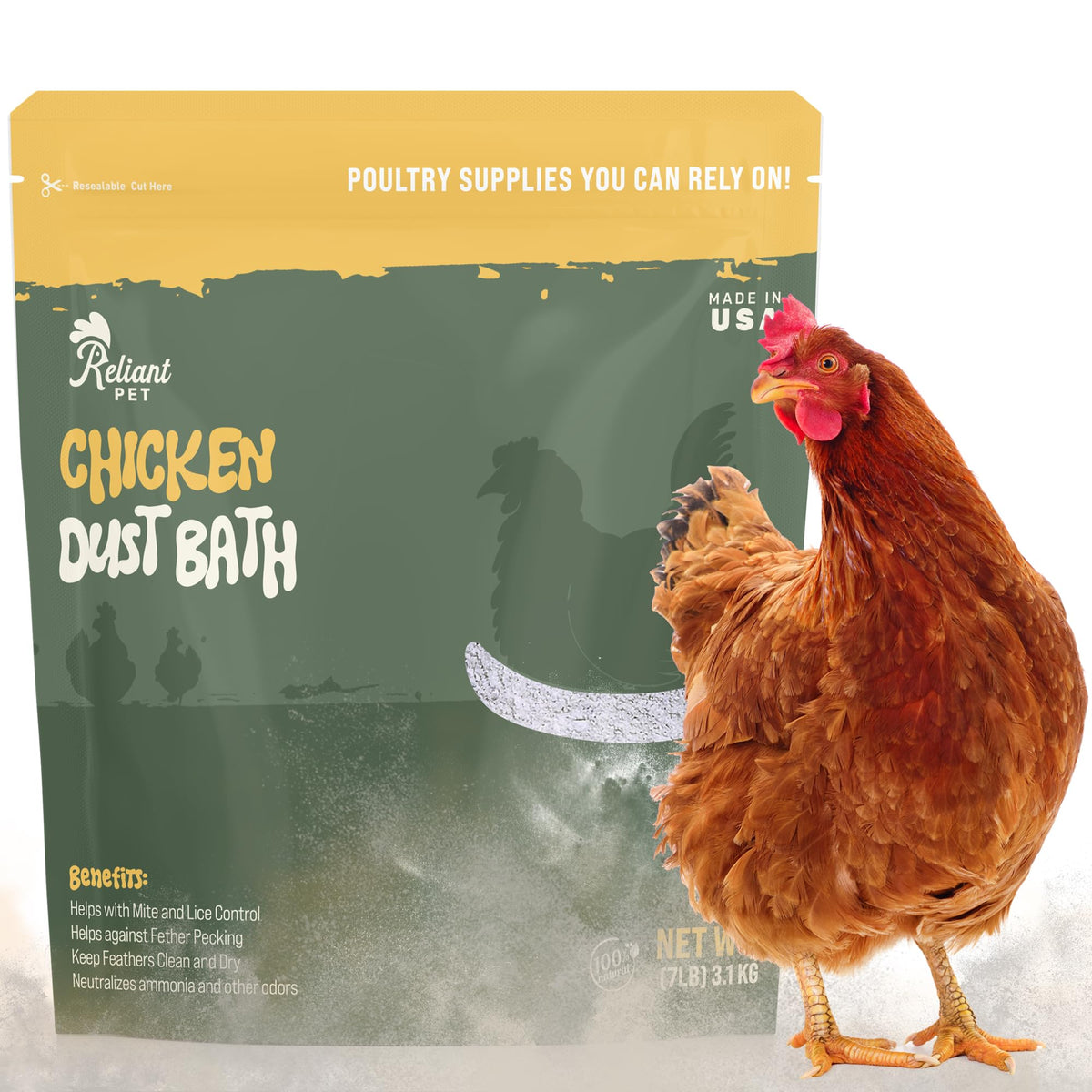 Reliant Pet chickens' feathers look cleaner after a refreshing dust bath.