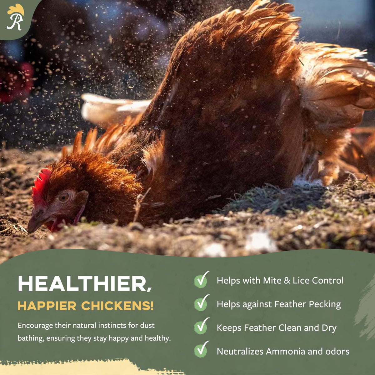 Reliant Pet dust bath container in coop setup demonstrates a tidy bathing area.