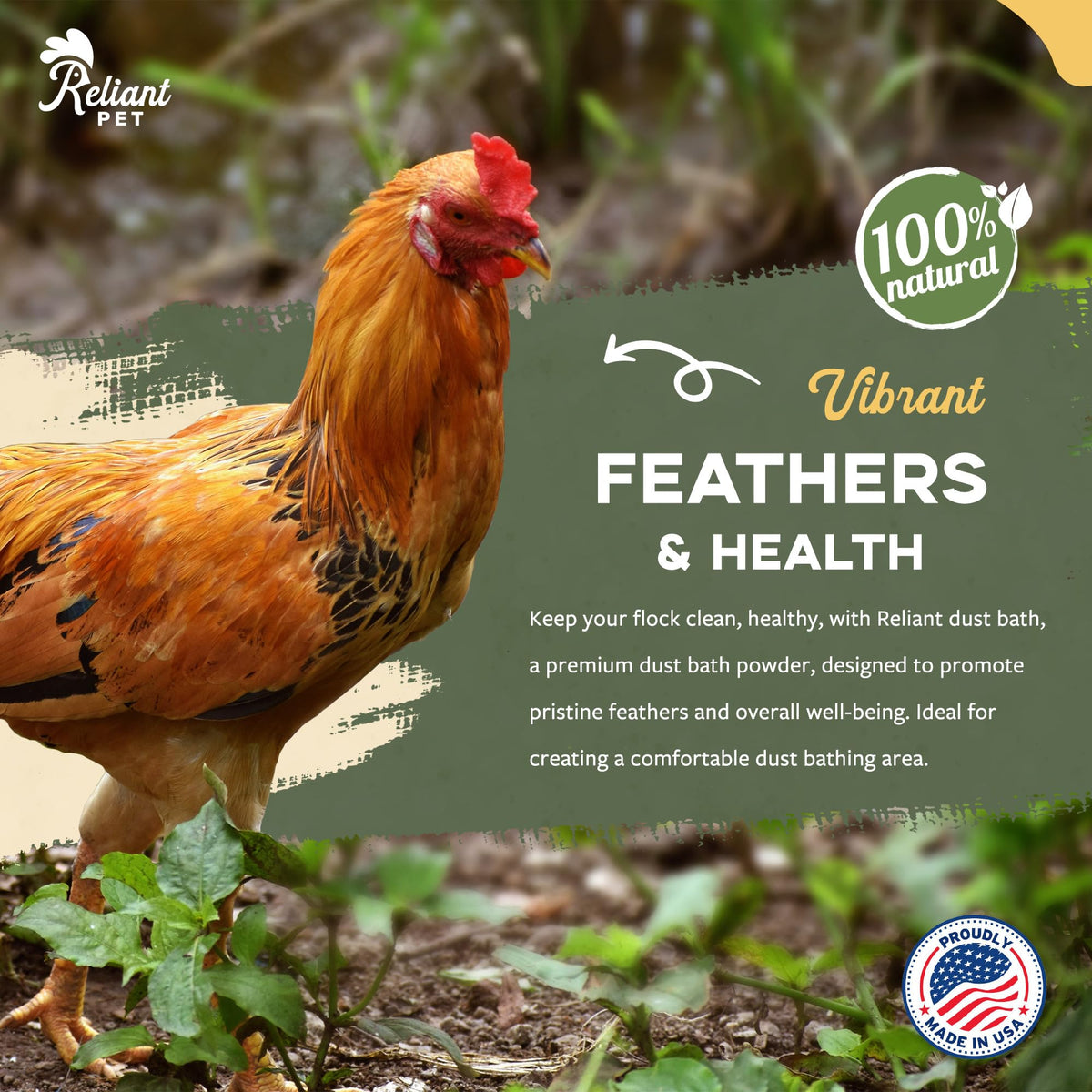 Reliant Pet premium sand blend for consistent texture and absorption during baths.