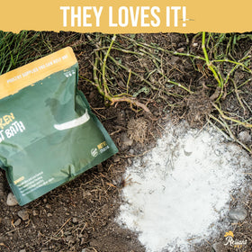 Reliant Pet USA-made chicken dust bath highlights domestic production quality.
