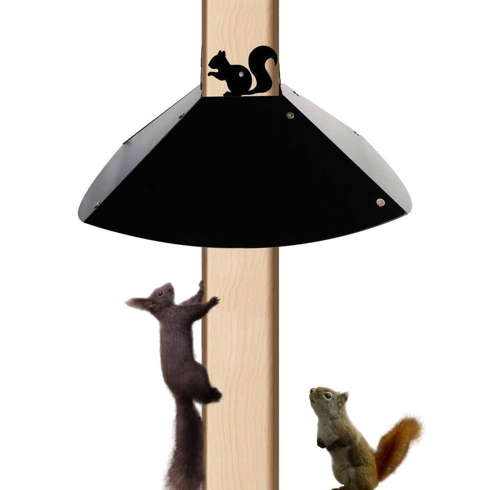 RELIY metal squirrel baffle on a 4x4 post blocks intruders and protects feeders.
