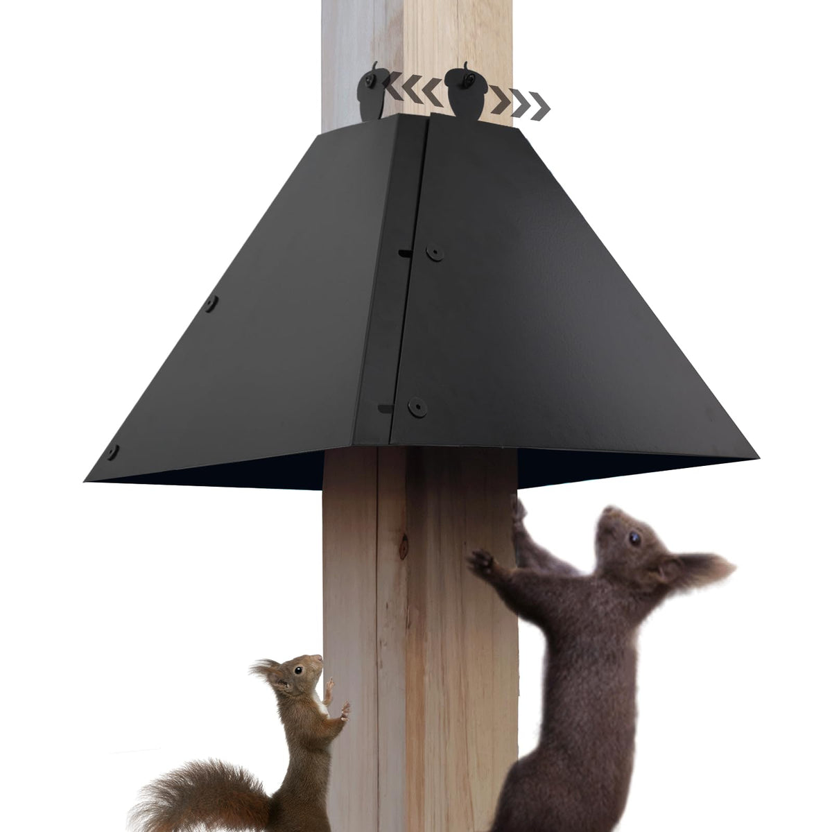 RELIY Squirrel Baffle on a 4x4 post shields bird feeders from squirrels.
