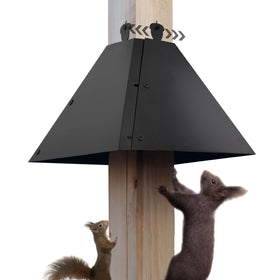 RELIY Squirrel Baffle on a 4x4 post shields bird feeders from squirrels.