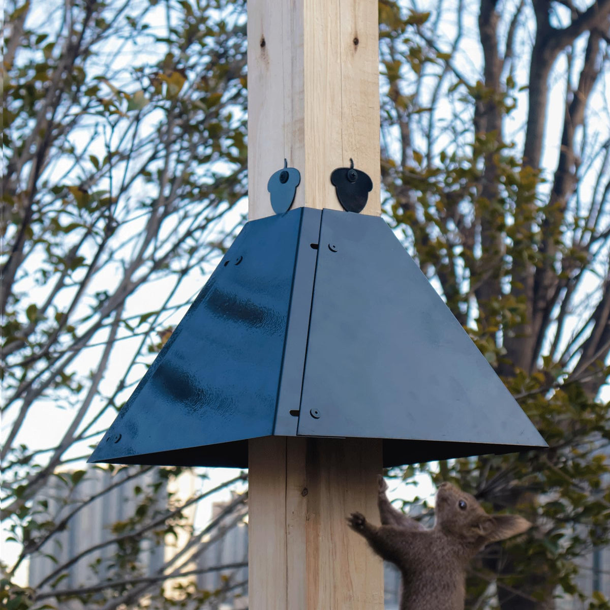 RELIY Squirrel Baffle guards feeders from raccoons and other wildlife.