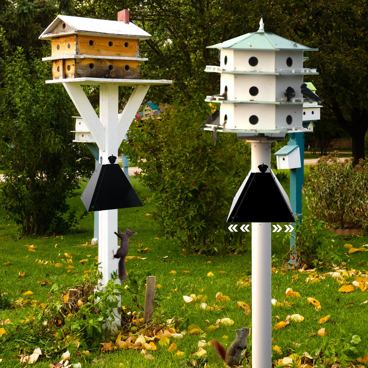 RELIY Squirrel Baffle keeps squirrels away, supporting peaceful bird feeding.