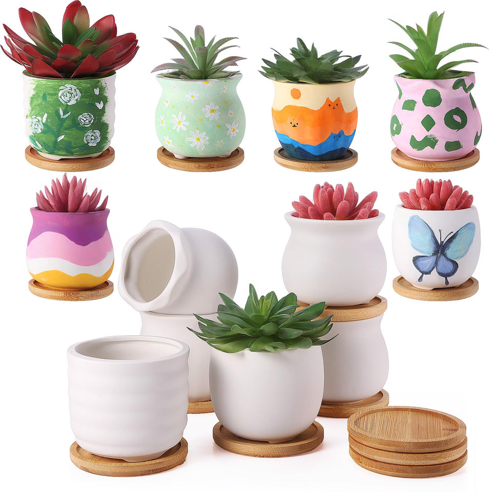 Remerry 3.5-inch white ceramic succulent pots with drainage hole for healthy growth