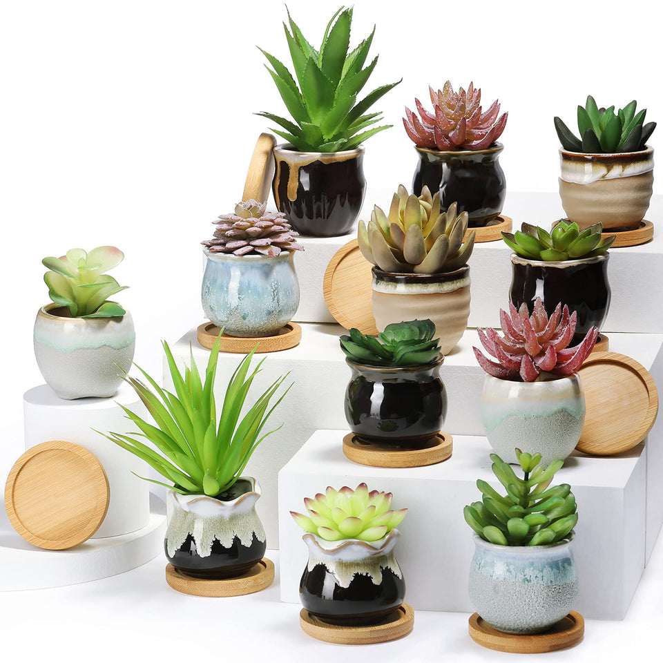 Remerry 12-pack succulent pots in varied styles for balcony decor