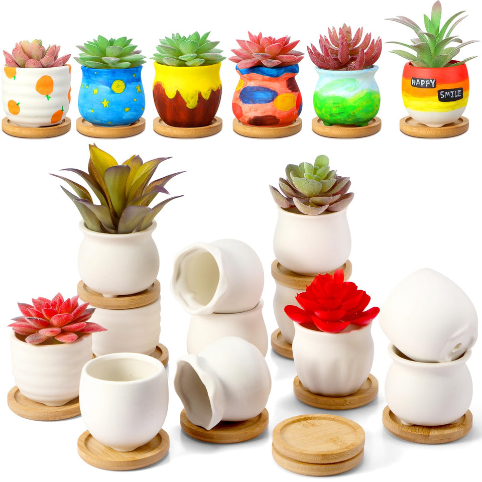 Remerry 24 mini succulent pots with bamboo tray and drainage hole for tidy display.