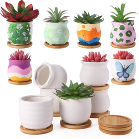 Remerry six-pack mini succulent pots with bamboo tray for stylish, ready-to-display plant arrangements
